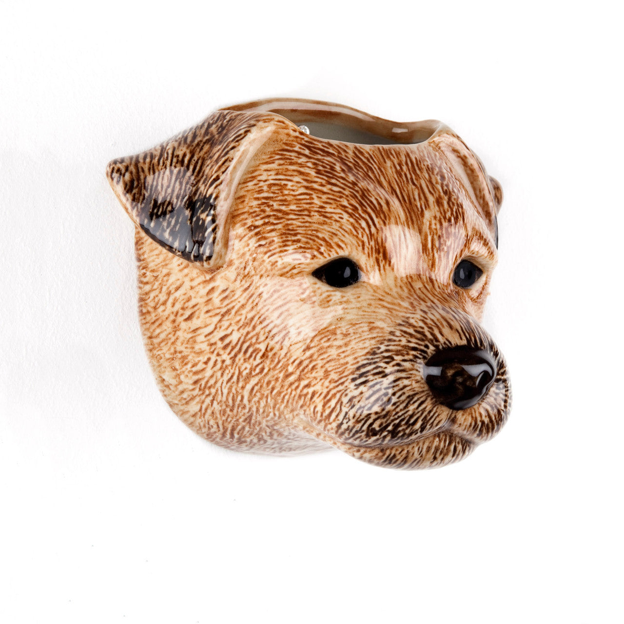 Quail Border Terrier