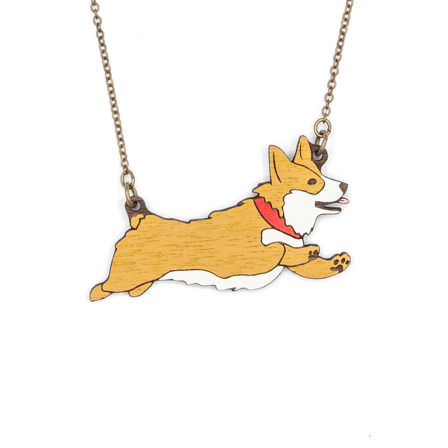 Materia Rica Corgi Race