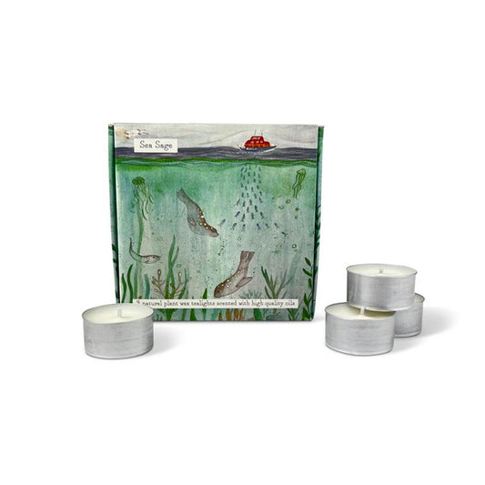 Illustrated Box Of 9 Scented Coastal Tealights Sea Sage