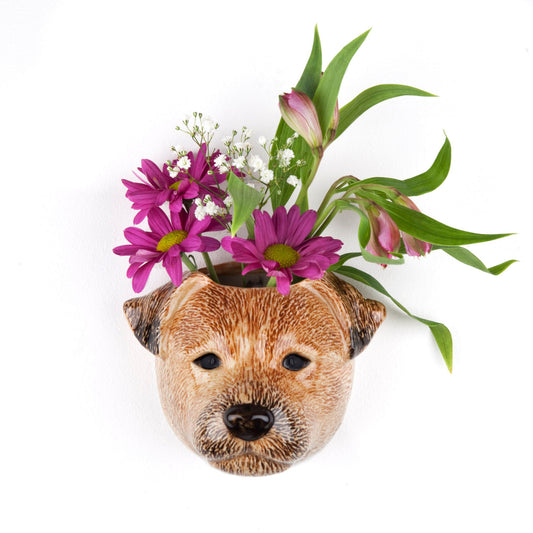 Quail Border Terrier