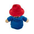 Paddington With Scarf