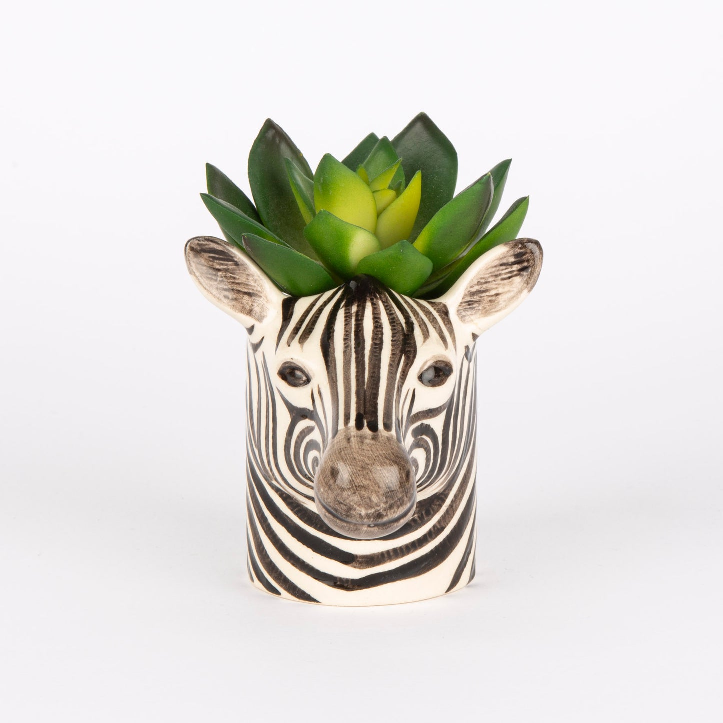 Quail Zebra Mini Pot