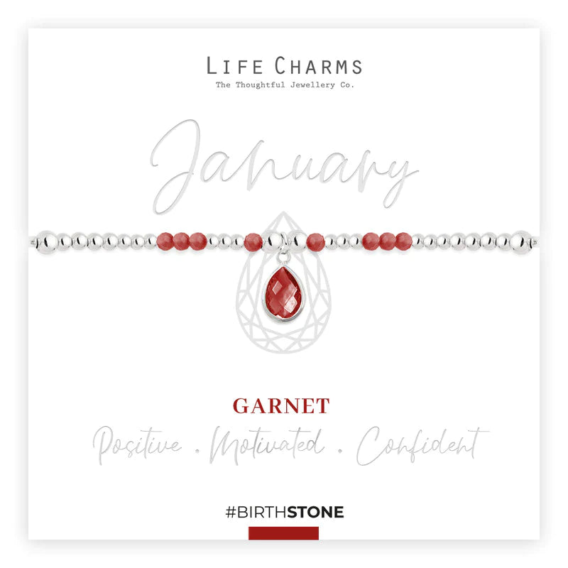 Life Charms Birthstone Bracelet - January