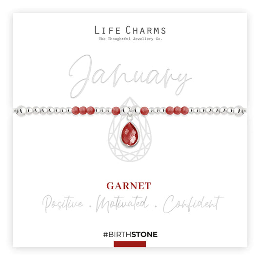 Life Charms Birthstone Bracelet - January