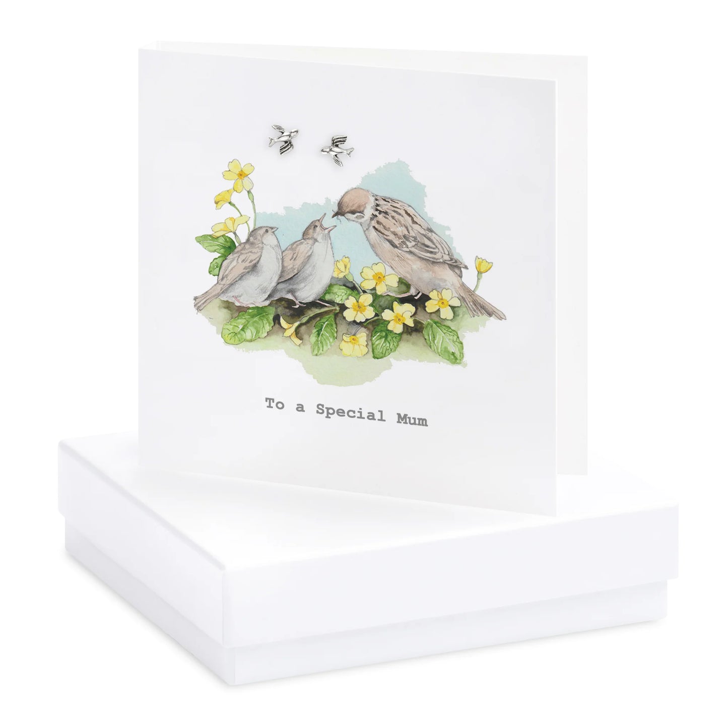 Crumble & Core Boxed Birds Nest Earring Card